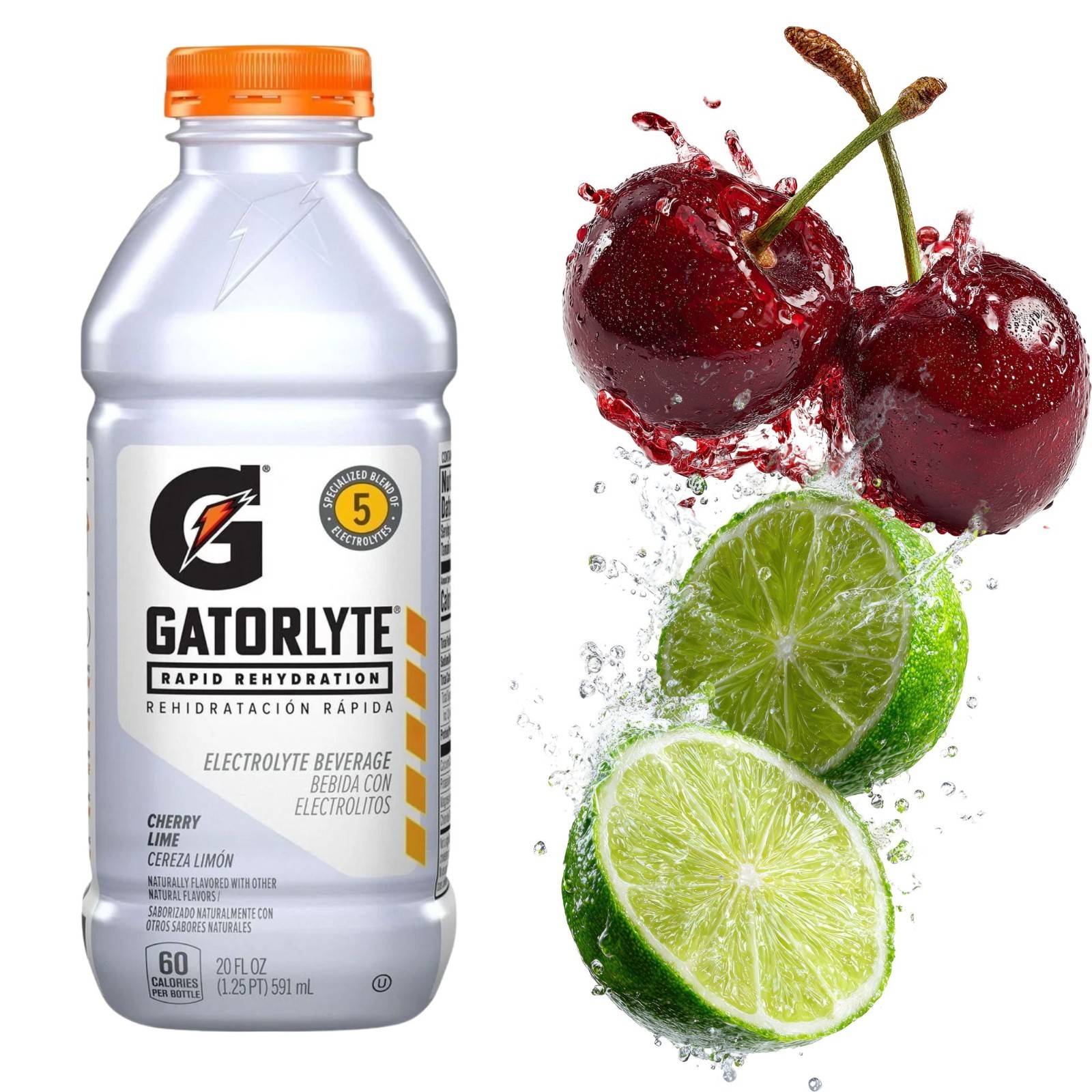 Gatorlyte Rapid Rehydration 6‑Flavor Sampler & Variety Pack – Electrolyte Drink