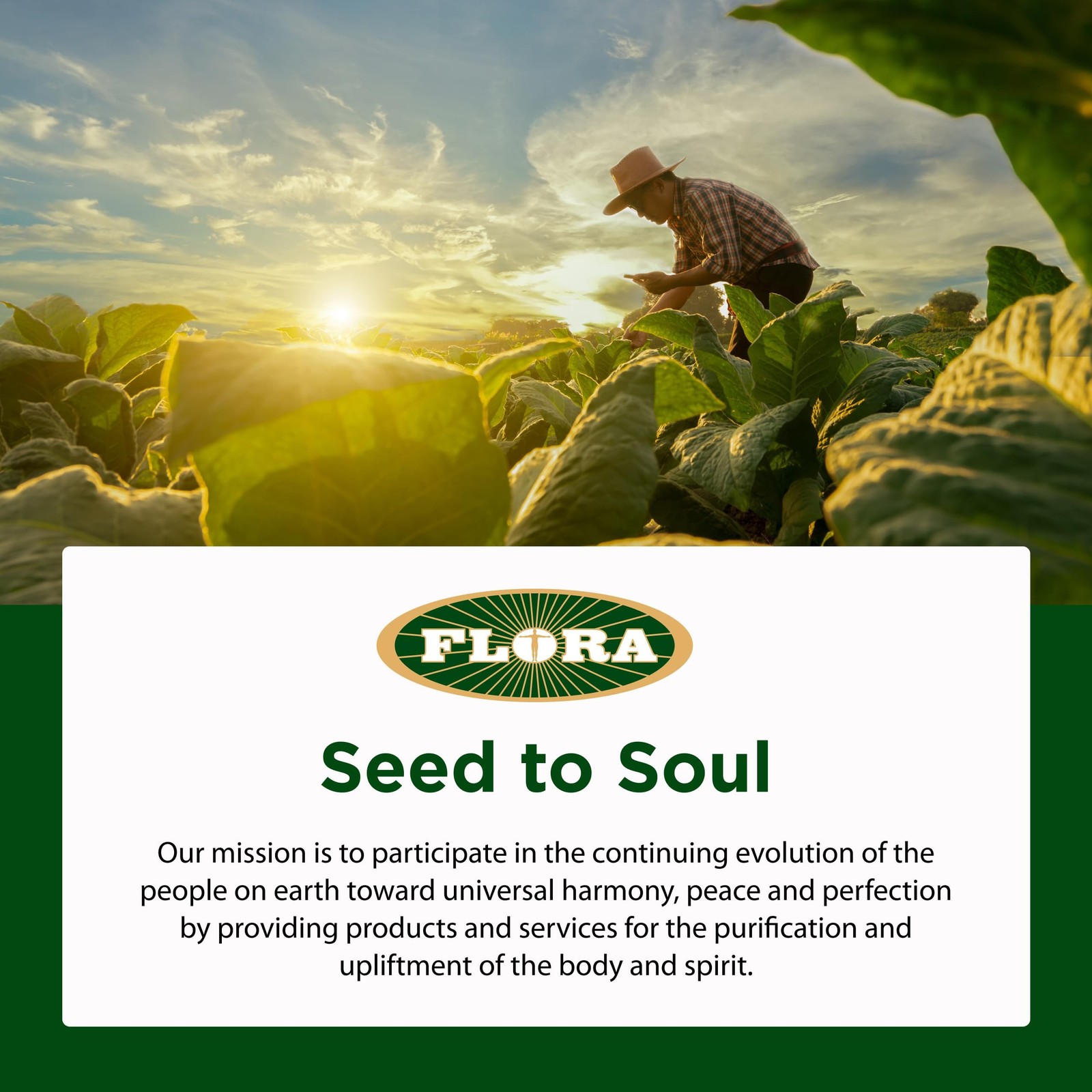Flora – Udo’s Choice Omega 369 Oil Blend, Made with Organic Flax, Sesame & Su…