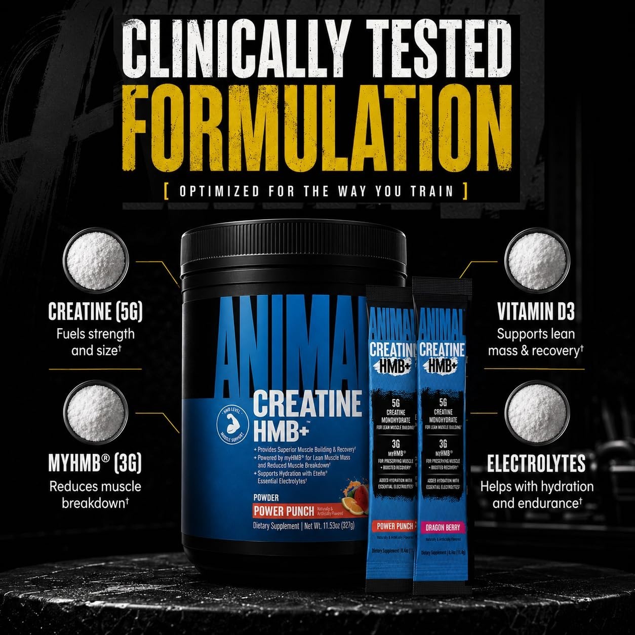 Creatine HMB Powder with Electrolytes – 5g Creatine + 3g myHMB for Recovery – 5