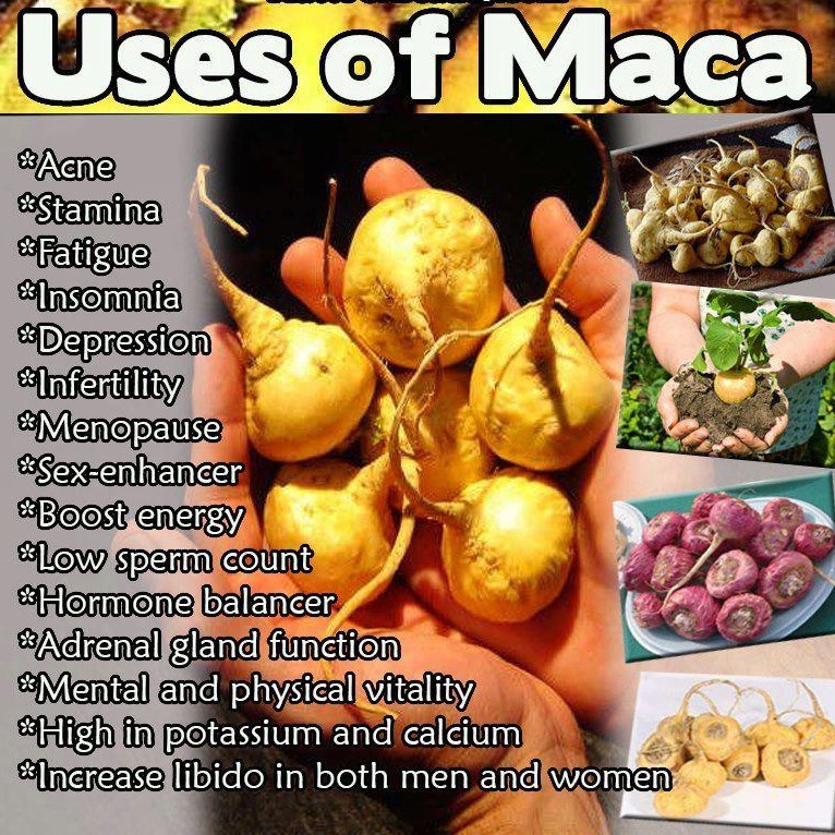 testosterone booster for men sex – PREMIUM MACA 1300 1B – maca and tribulus