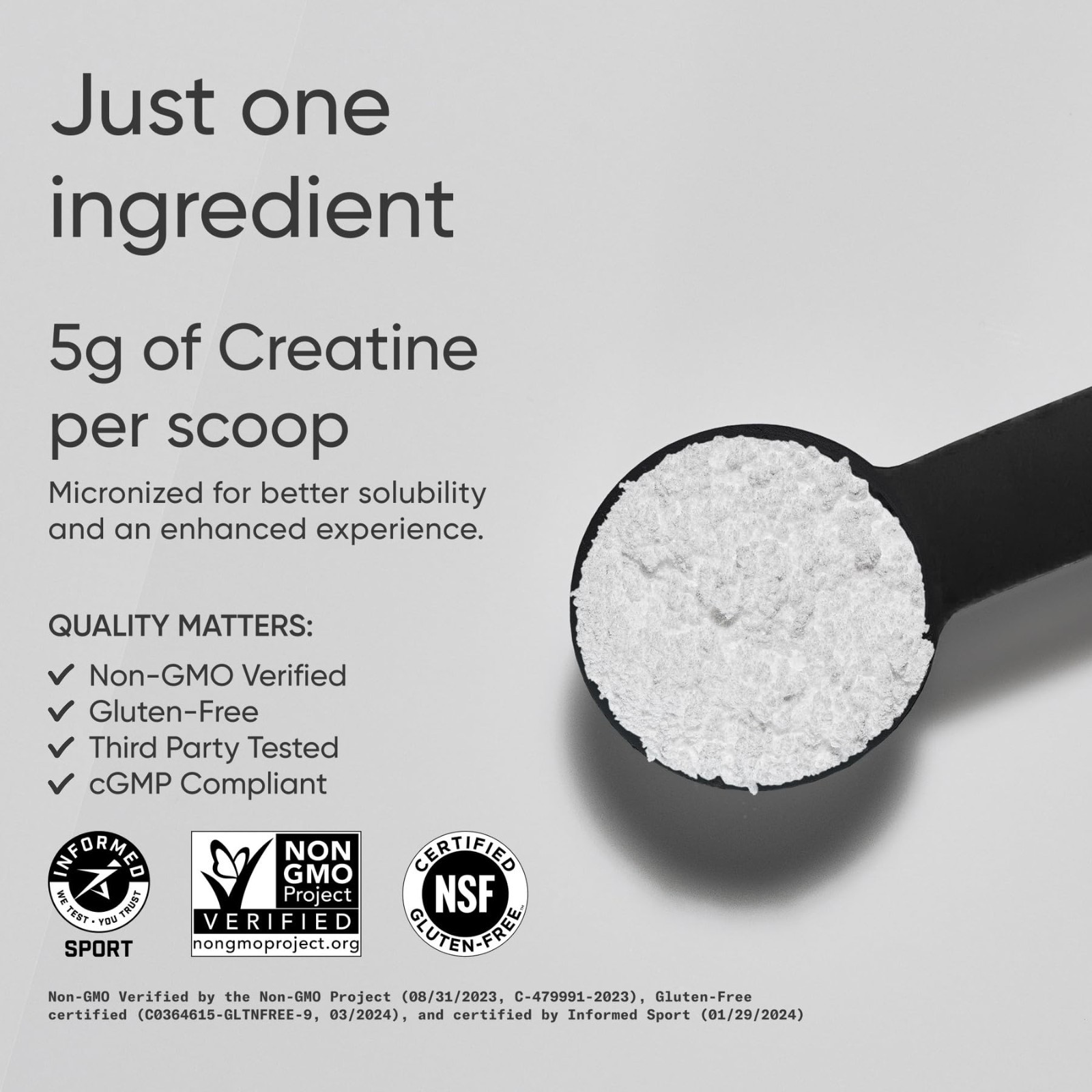 Creatine Monohydrate Powder 5g – Unflavored, 60 Servings | Micronized for Muscle