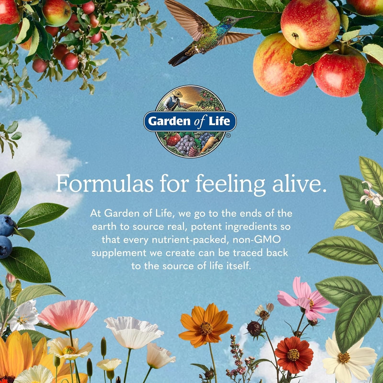Garden of Life Vegan Protein Powder, Gluten Free, Vanilla, 1.5 LB
