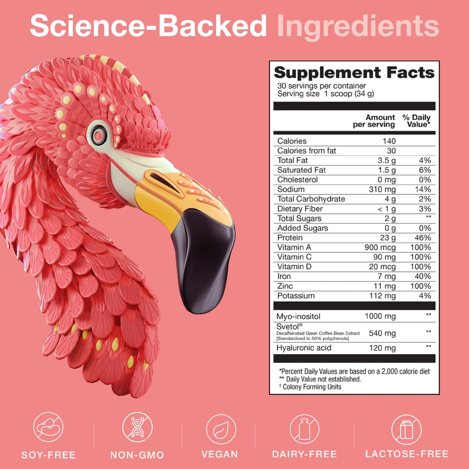 BIRDMAN Fitmingo Vegan Protein Powder with Inositol, 1.12 Pound (Pack of 1)