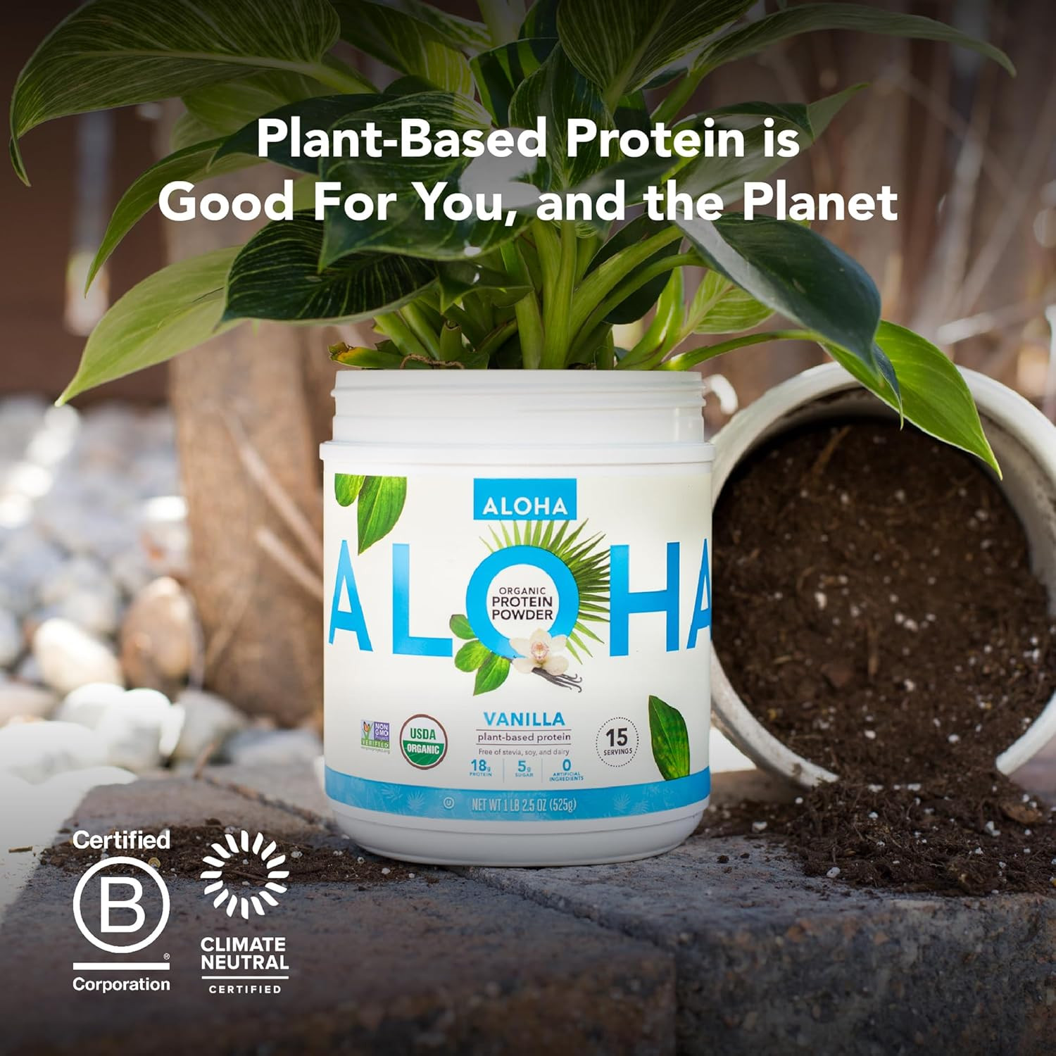 Organic Plant Based Protein Powder, Stevia Free, Chocolate, 19.6 Oz, 15 Servings