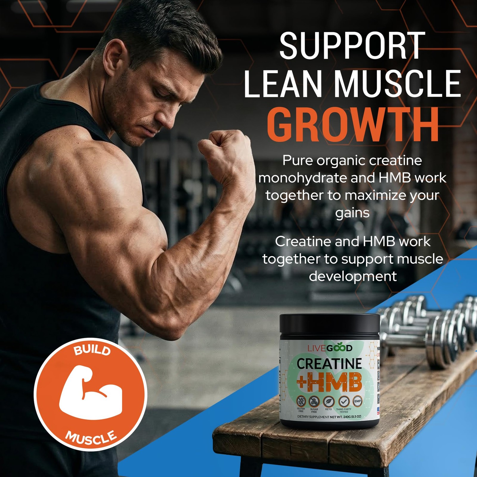 Creatine Monohydrate with HMB for Lean Muscle Growth & Recovery – HMB Creatin…