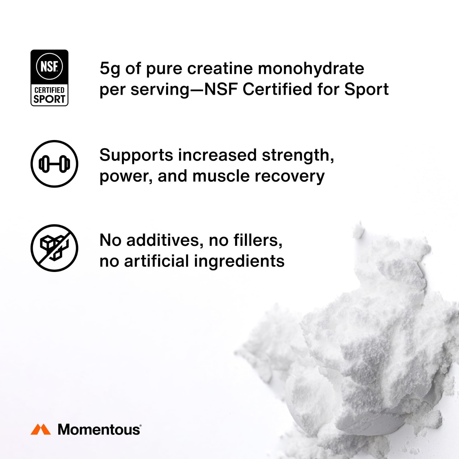 Creatine Monohydrate Powder – Supports Strength, Lean Muscle & Recovery – NSF Ce