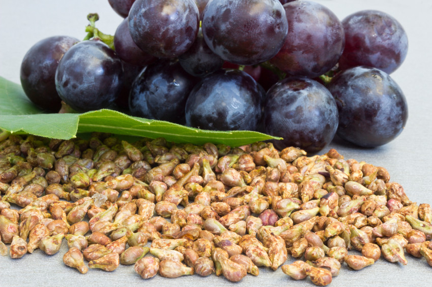 Antioxidant berry powder – RESVERATROL – GRAPE SEED EXTRACT COMBO – resveratrol