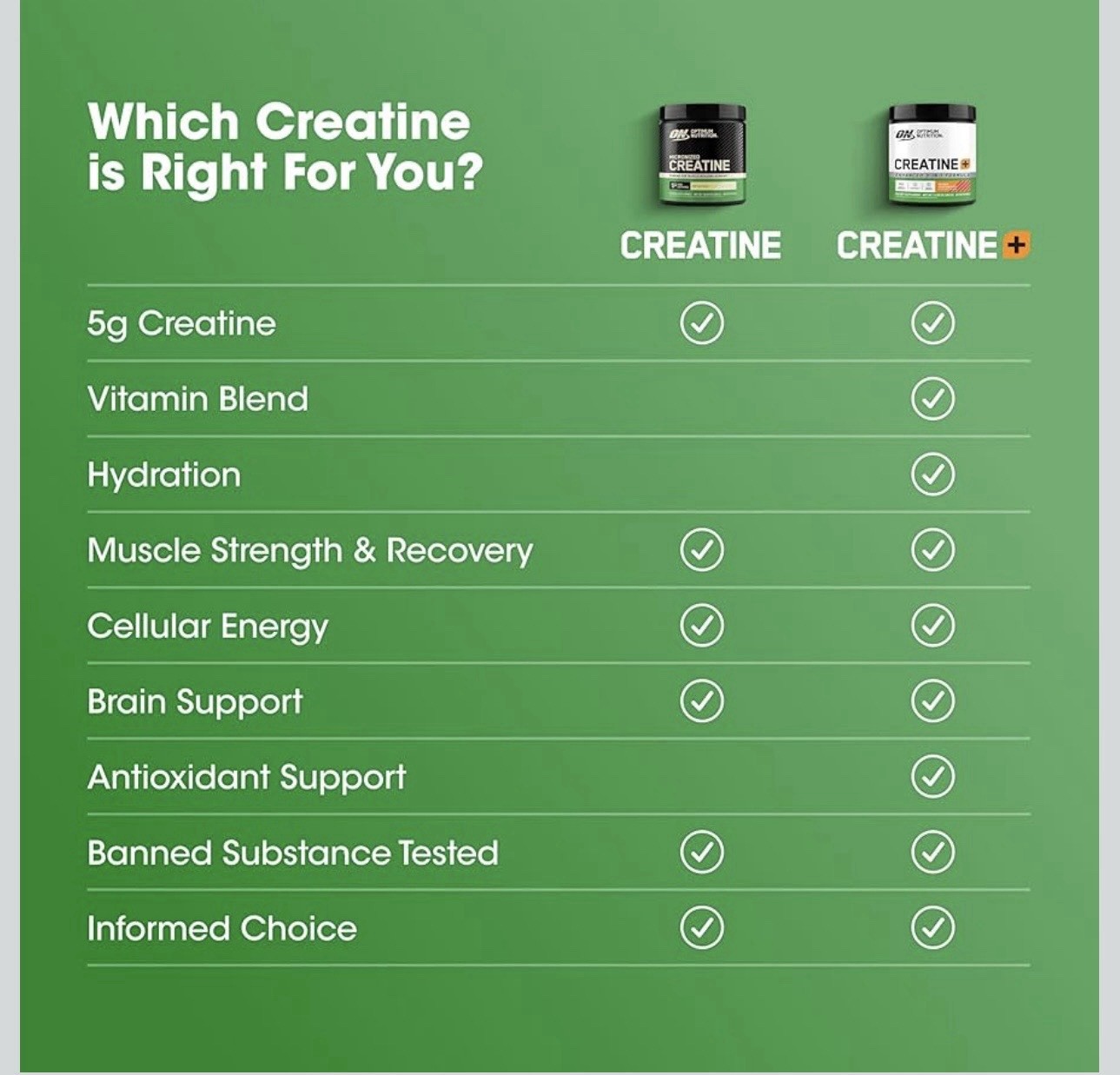 Optimum Nutrition Micronized Creatine Monohydrate Powder Unflavored 10.58 oz