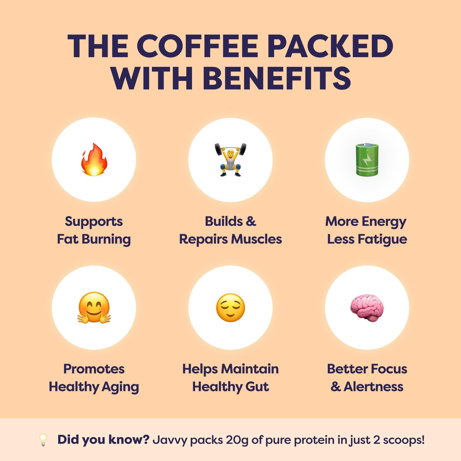 Javvy Protein Iced Coffee – Premium Whey Protein & Iced Coffees, 100% Natural…