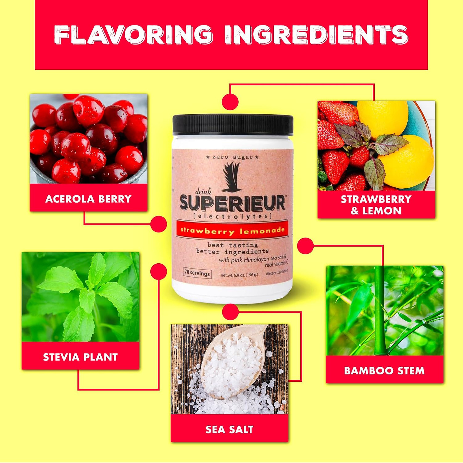 Sea Mineral Electrolyte Powder Strawberry Lemon 70 Servings Plant Based Vegan