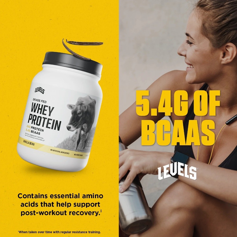 Grass Fed Whey Protein Powder, No Artificials, 24G of Protein, Vanilla Bean