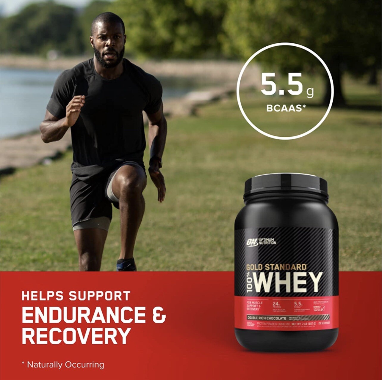 Optimum Nutrition Gold Standard 100% Whey Protein Vanilla Ice Cream 10 lbs
