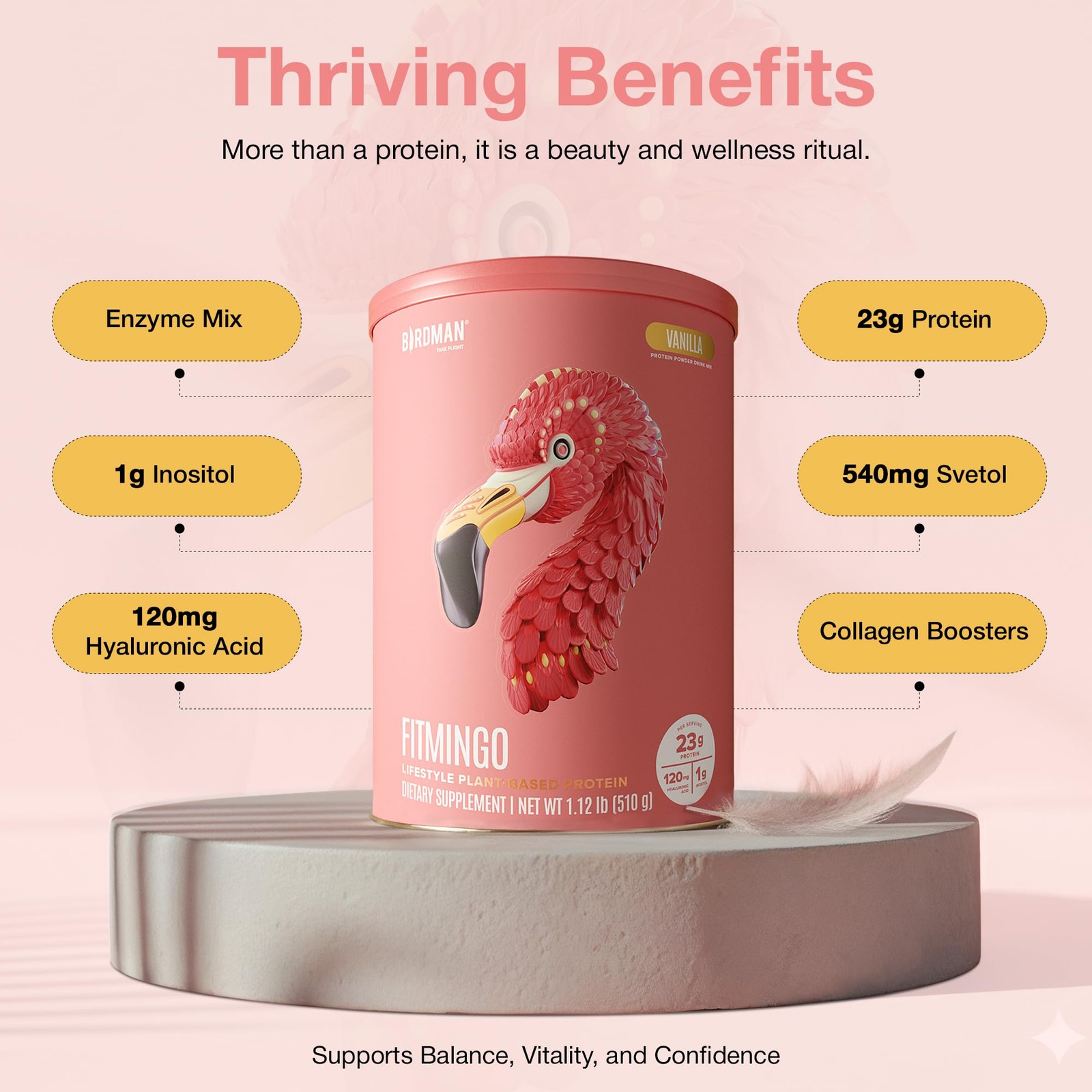 BIRDMAN Fitmingo Vegan Protein Powder with Inositol, 1.12 Pound (Pack of 1)