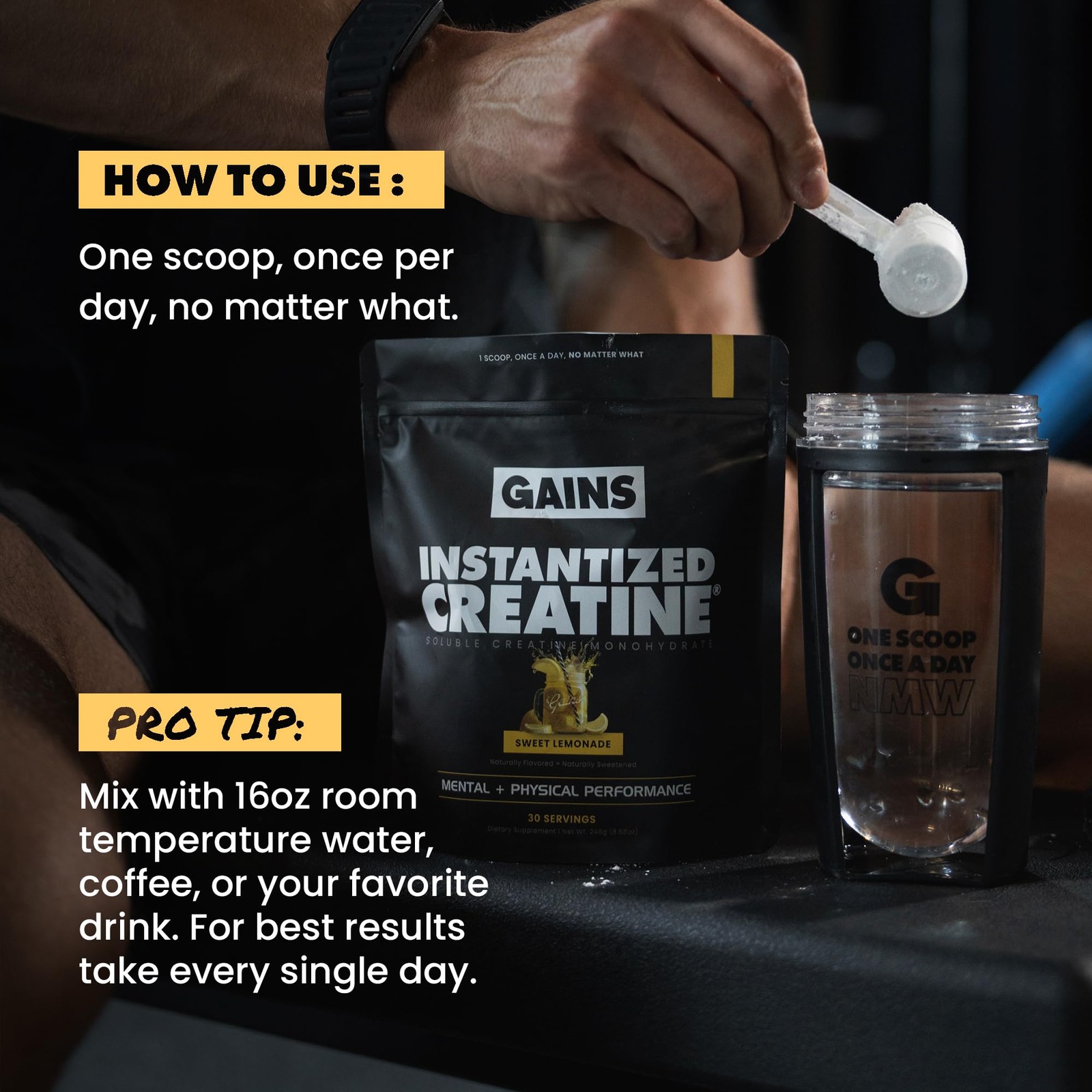 Gains in Bulk Instantized Creatine Monohydrate for 30 Servings (Pack of 1)