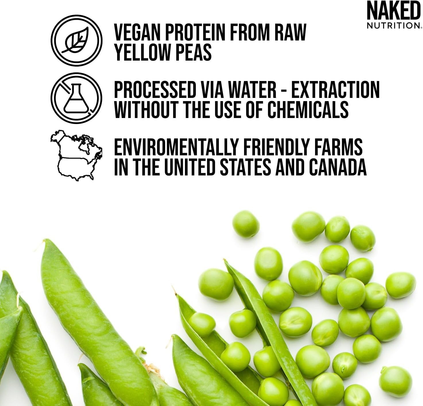 2LB Gluten-Free and Dairy-Free Pea Protein Powder – Muscle Growth Support