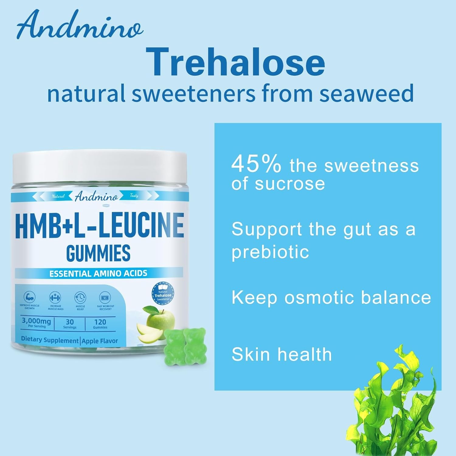 HMB and L-Leucine Gummies, 3000mg, with Trehalose, for 120 Count (Pack of 1)