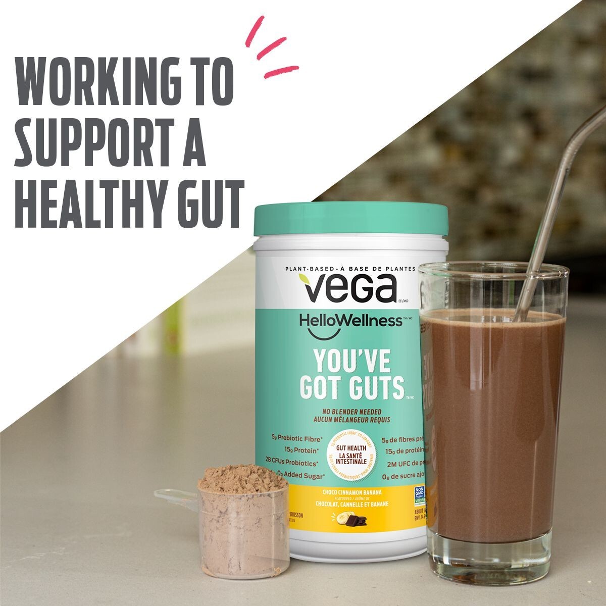 Vega Hello Wellness You’ve Got Guts Protein Powder 14 Serve 405 g, Exp:2027/01