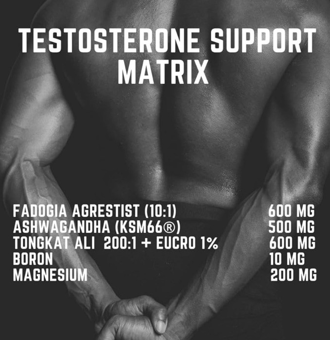 Nutriissa PCT Post Cycle Therapy Estrogen Control Testosterone Support, 180 Cap