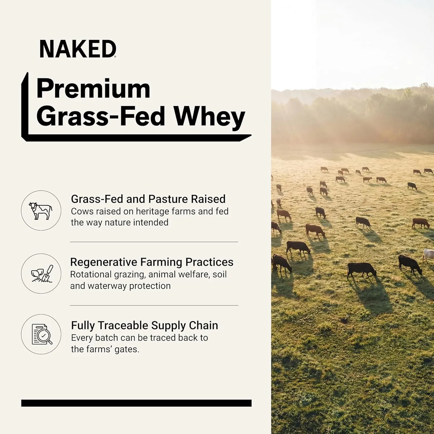 Naked Whey Chocolate Protein Powder Grass Fed 3 Ingredient 24 Servings