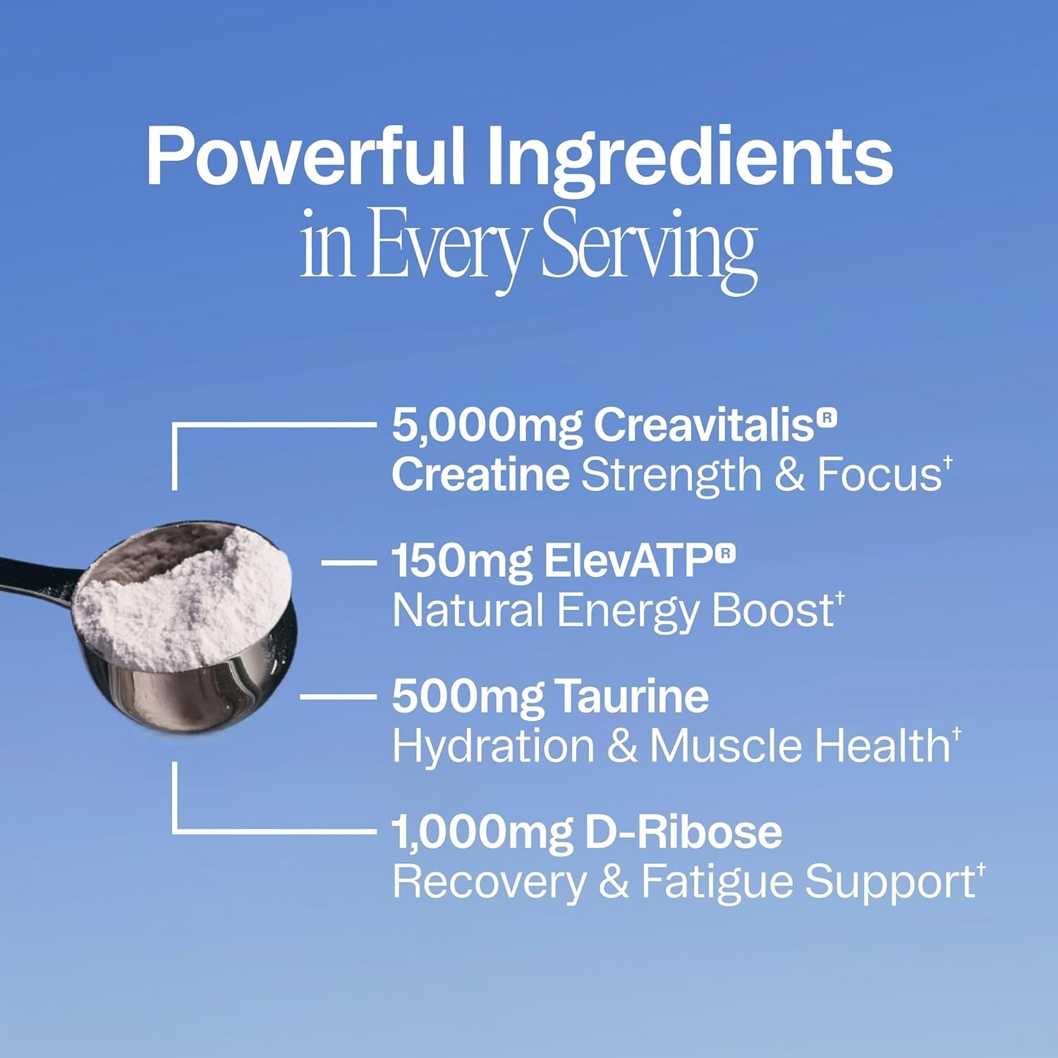 Ora Organic Creatine Monohydrate Powder, for Energy & Recovery, 30 Servings
