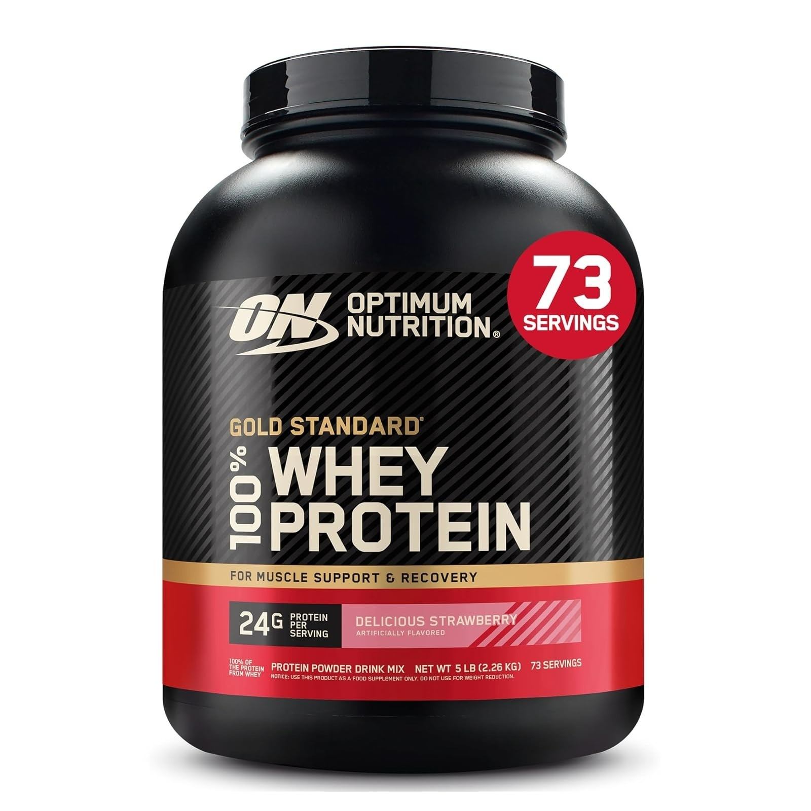 Optimum Nutrition Gold Standard Whey Protein 2 LB Double Rich Chocolate