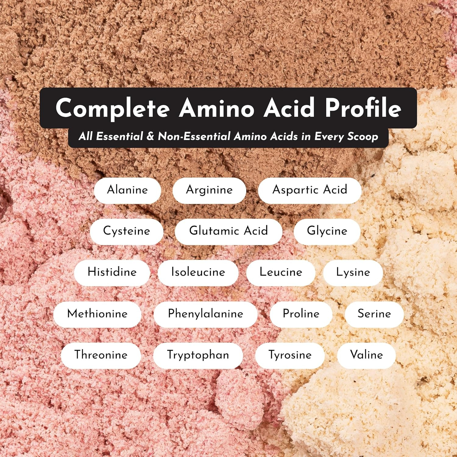 Mint Chocolate Protein Powder | 15 Servings | 24G Grass-Fed New Zealand Whey + 4