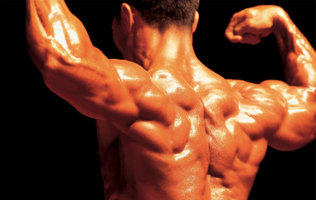 Bodybuilding supplement NITRIC OXIDE MUSCLE PUMP 2400 Benefits immune system 2B