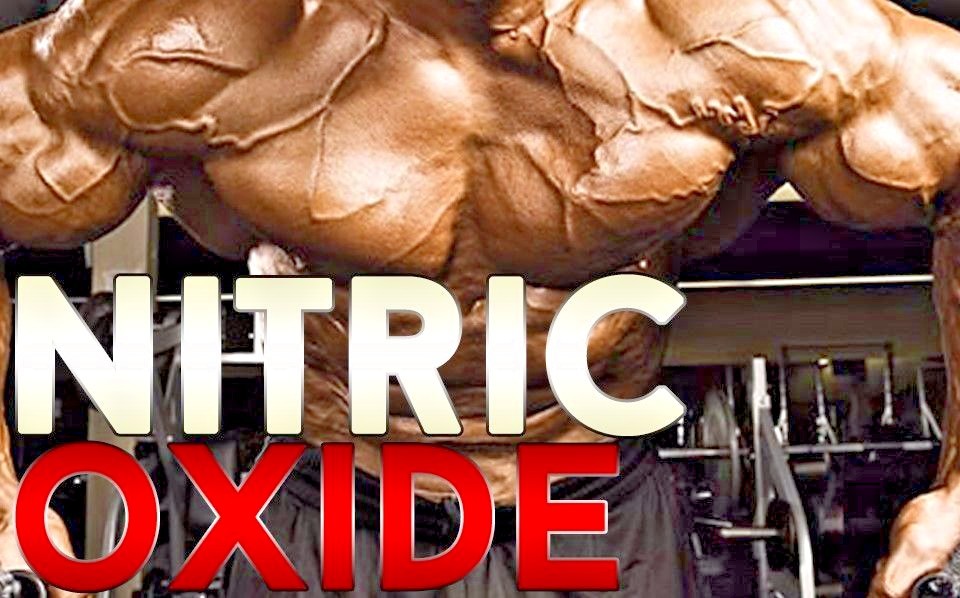 Muscle Gain Pills – Nitric Oxide 2400mg – L-Arginine L-Ornithine 1B