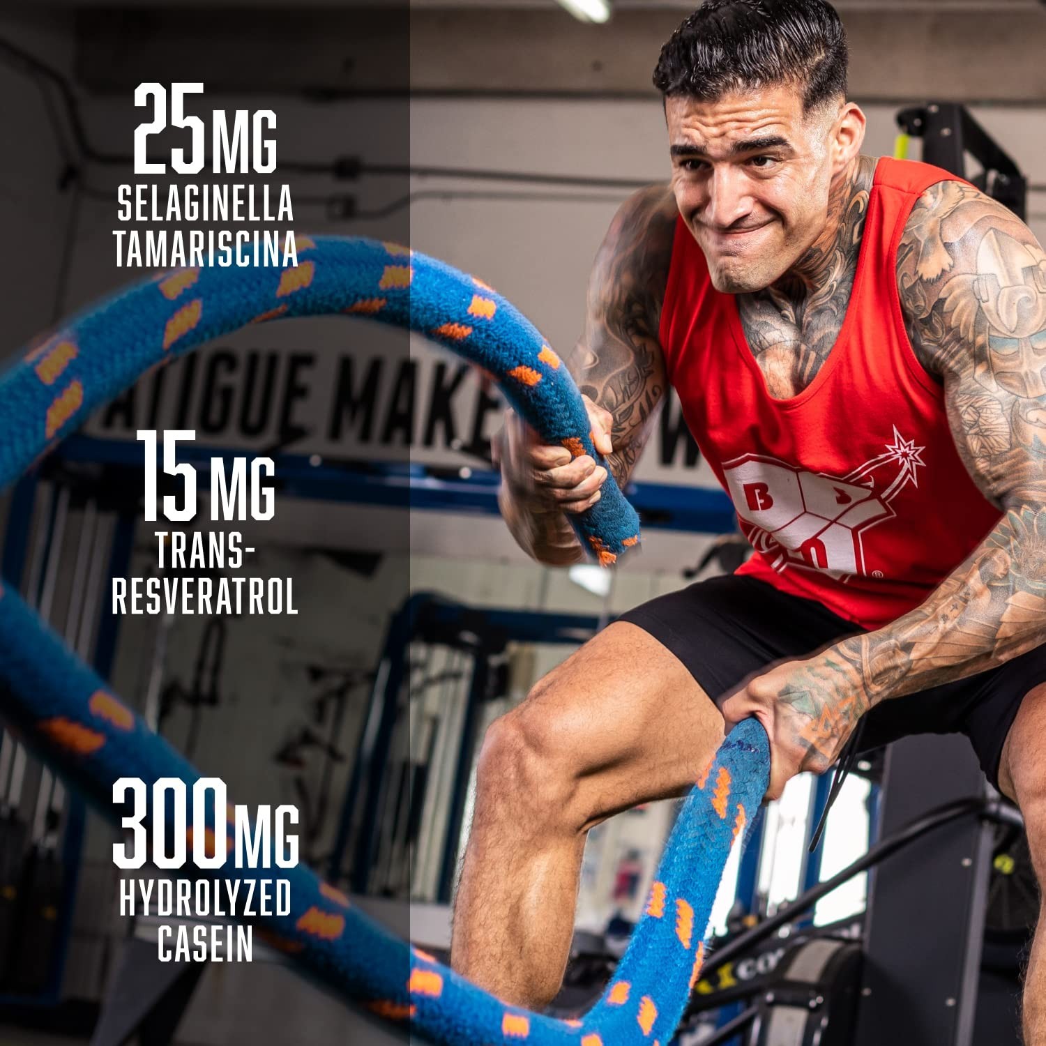 Pre Workout Powder – Razzle Dazzle Flavor, 24 Servings, 8g L-Citrulline, Energy
