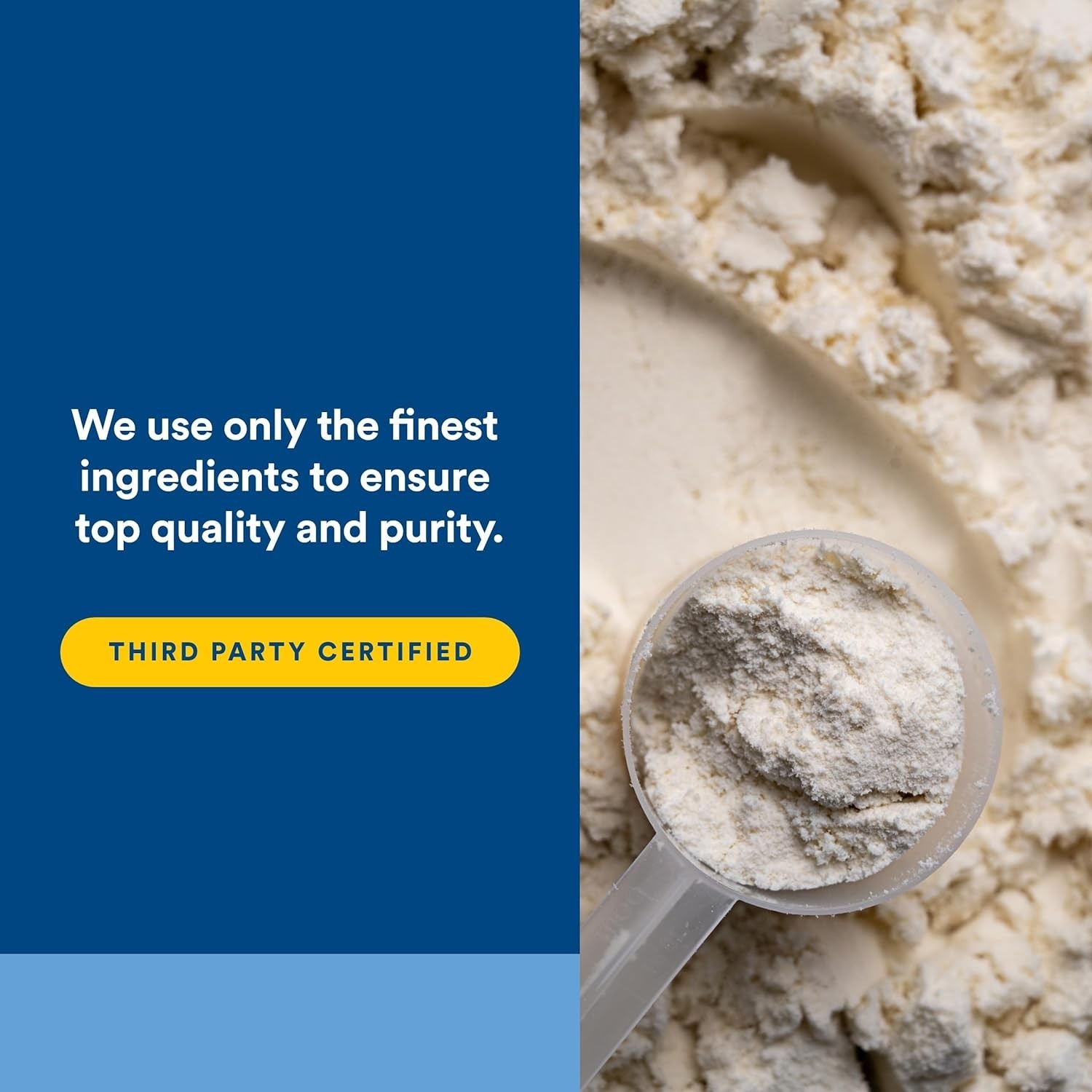 Whey Factors French Vanilla Protein – 18g Protein Per Serving, Easy Mix
