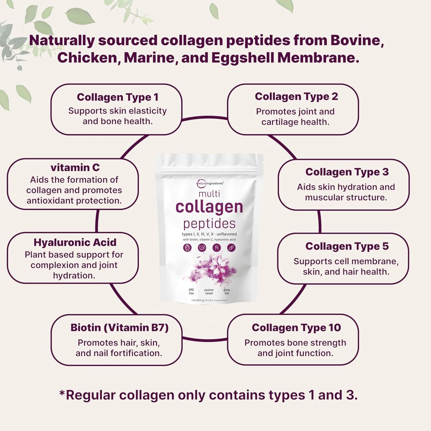 Micro Ingredients Multi Collagen Peptides Powder,1lb?CHydrolyzed Type I,II,III,V