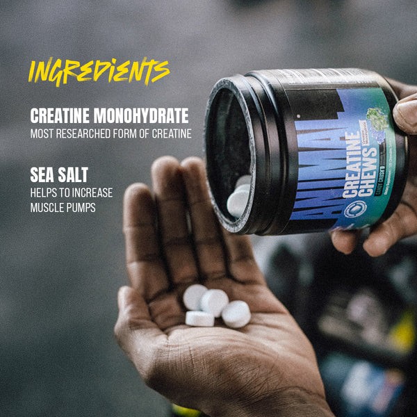 Universal Nutrition ANIMAL Creatine Chews Monohydrate 120 Chewables NEW