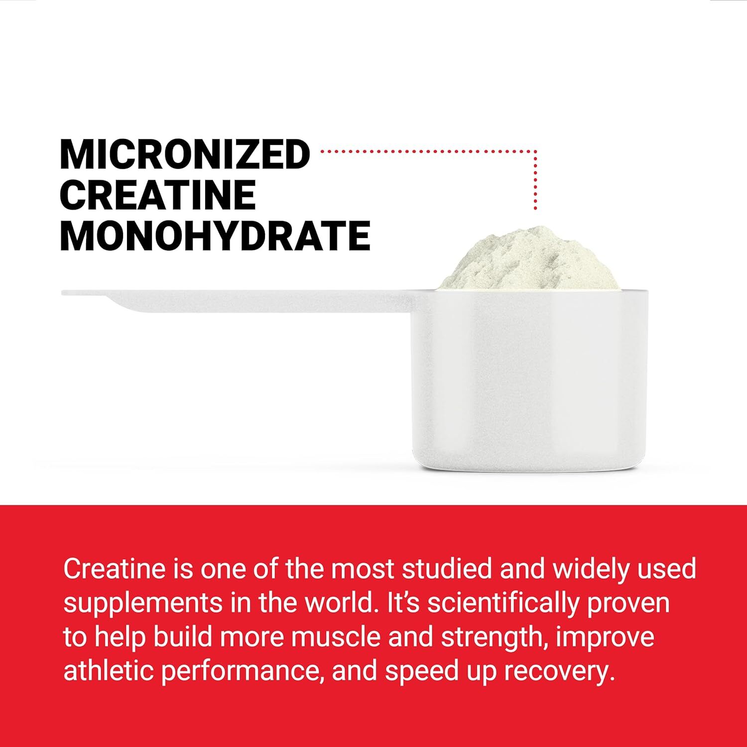 FORCE FACTOR Creatine Monohydrate, Creatine Powder for Muscle Gain, More Strengt