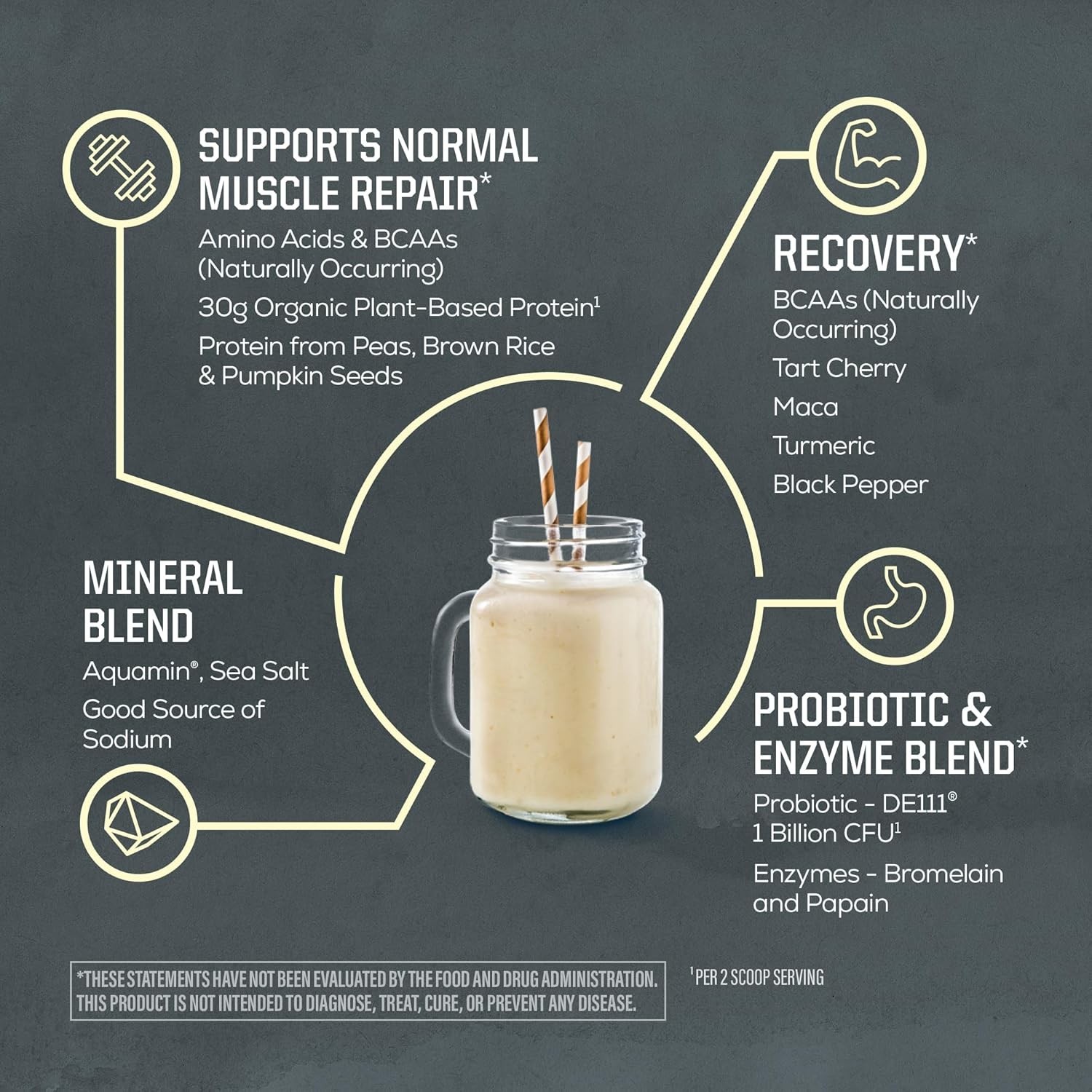 Sunwarrior Pre & Post Workout Active Protein Vegan – Vanilla Protein, 2.2 lbs