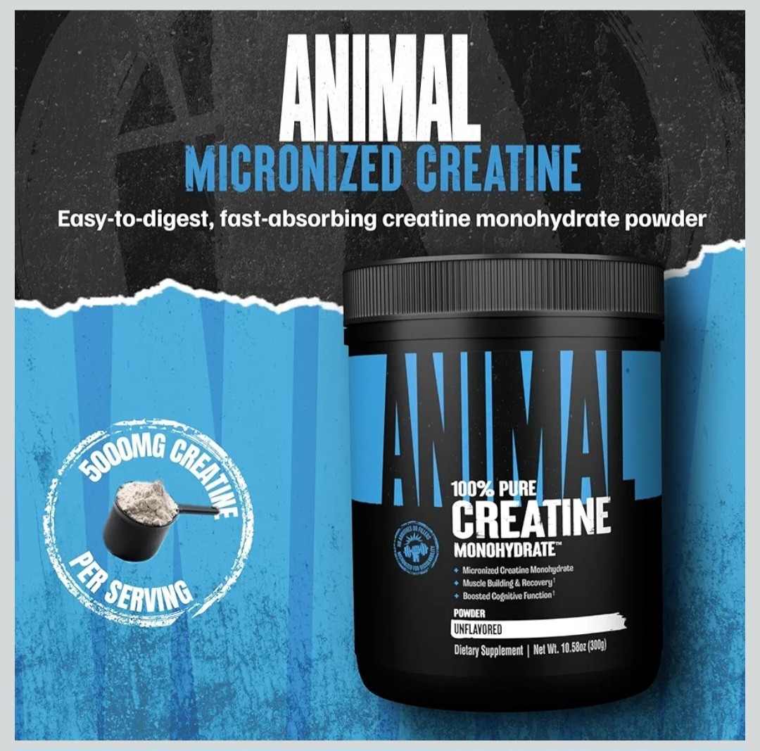 Animal 100% Pure Creatine Monohydrate Powder, Unflavored, 10.58 oz (300 g)