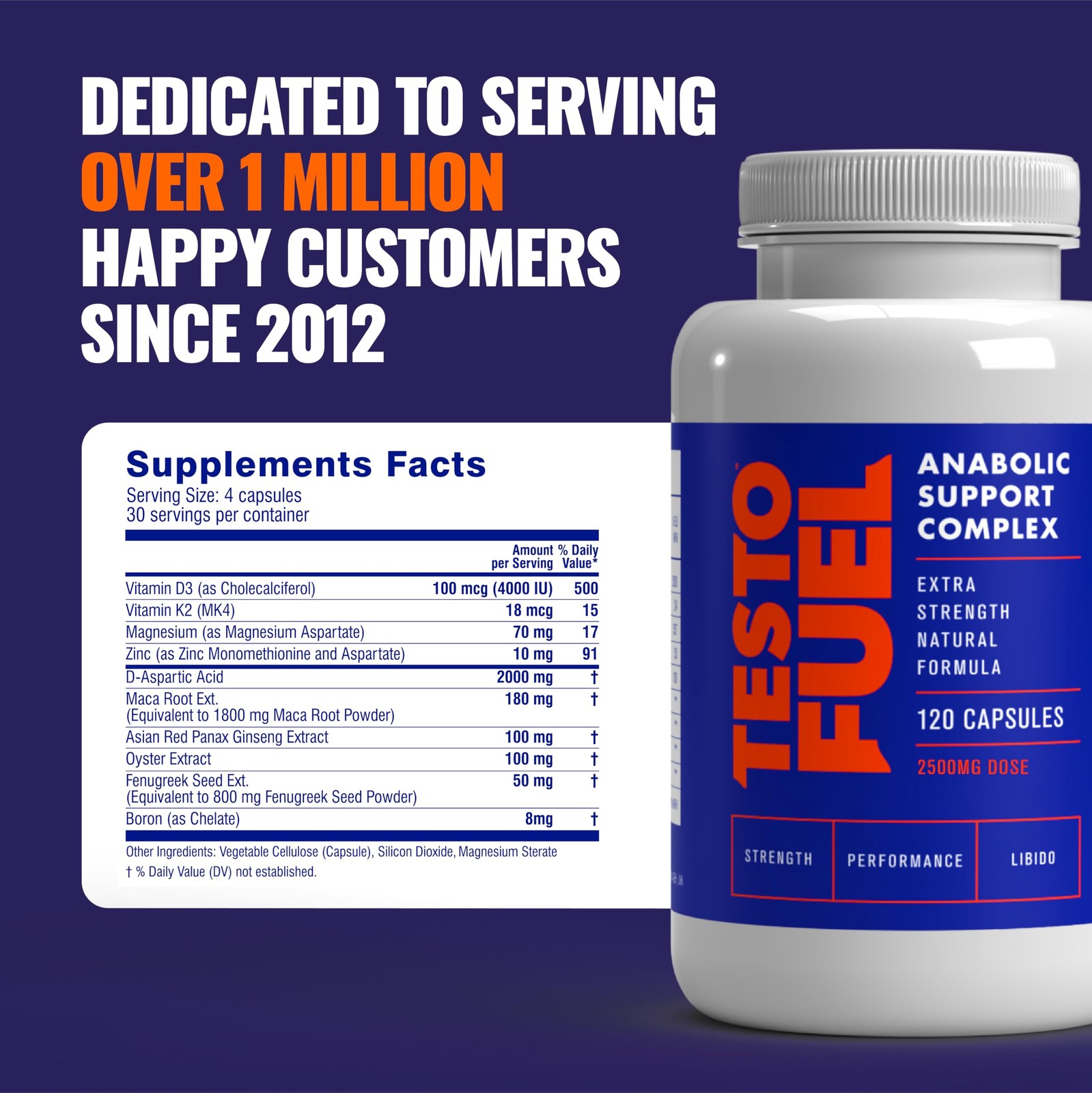 ROAR AMBITION TestoFuel 120 T-Booster Pills – Test 120 Count (Pack of 1)