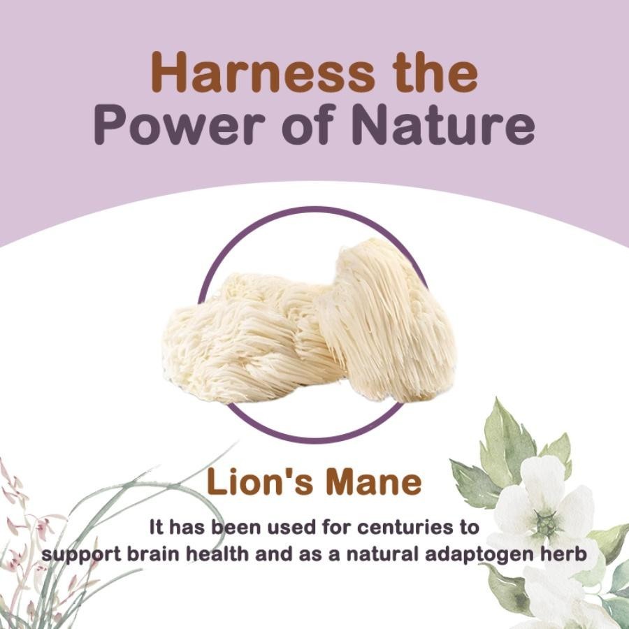 Berry Flavor Organic Lions Mane Mushroom Powder 1 lb Memory Focus Nerve Health