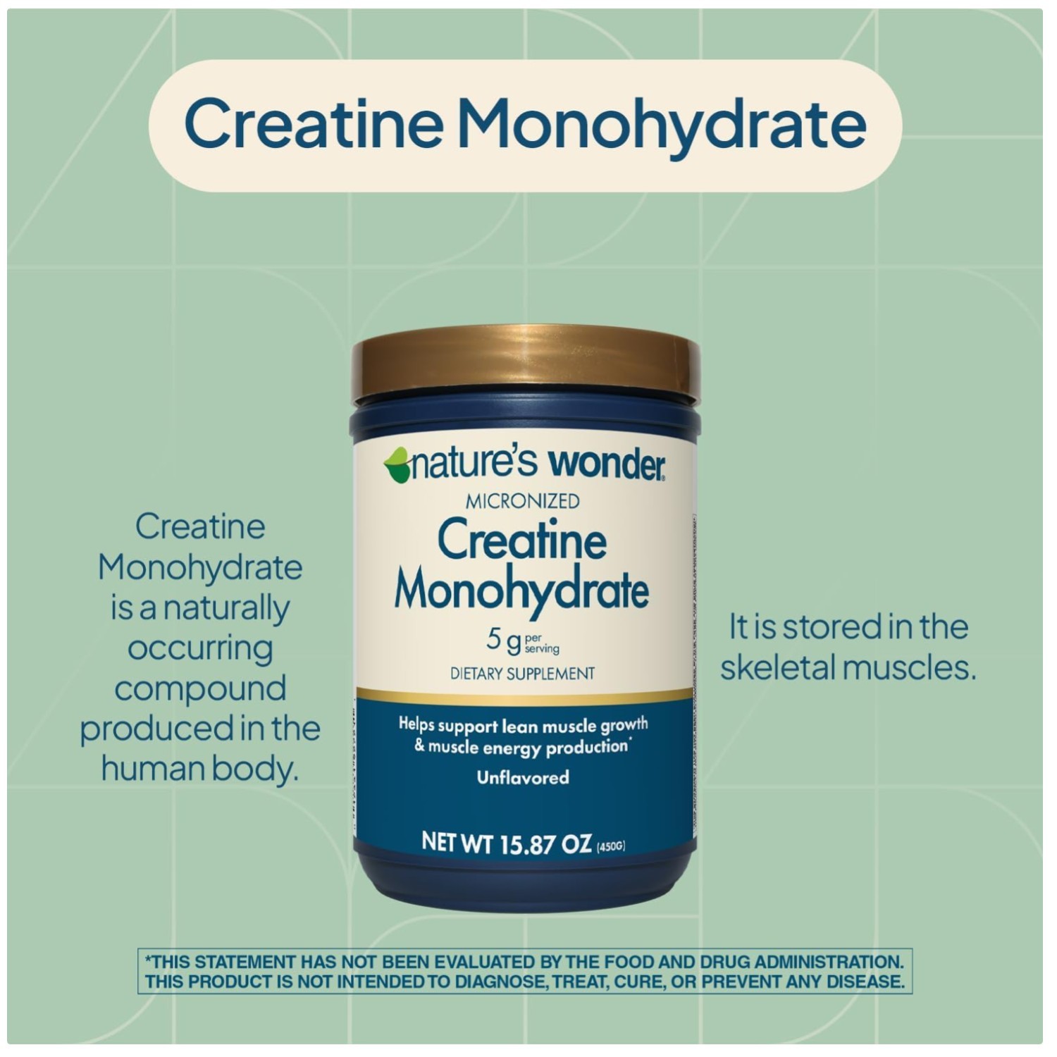 Gluten-Free Creatine Monohydrate Powder – Fitness Supplement