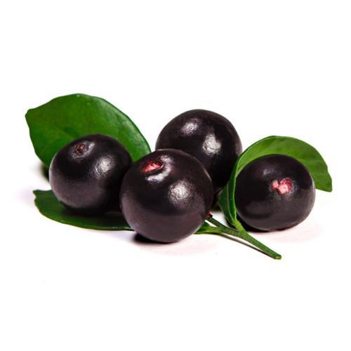 resveratrol pure capsules – RESVERATROL SUPREME 1200mg 3B – red wine pills