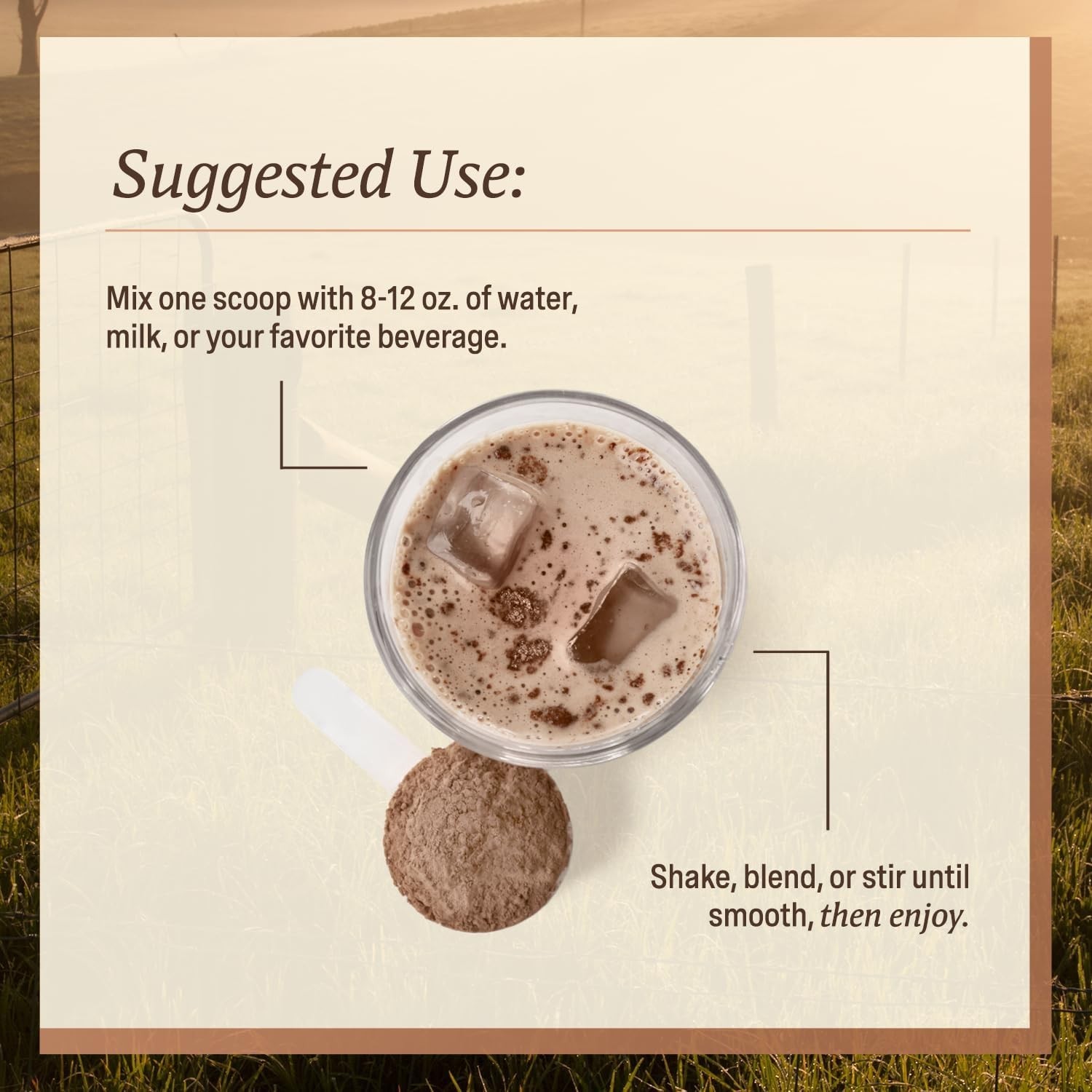 Men’s Whey Protein Chocolate Grass Fed A2 Regenerative with KSM-66 Ashwagandha