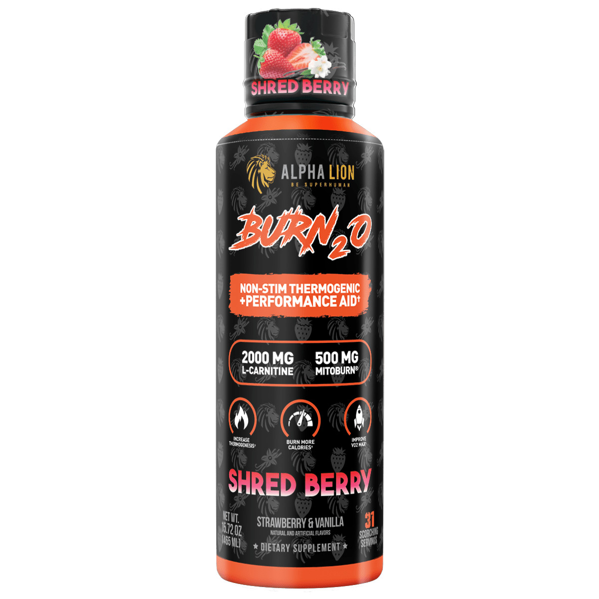 ALPHA LION BURN2O Non-Stim Stim-Free Thermogenic Performance Aid 31 Servings