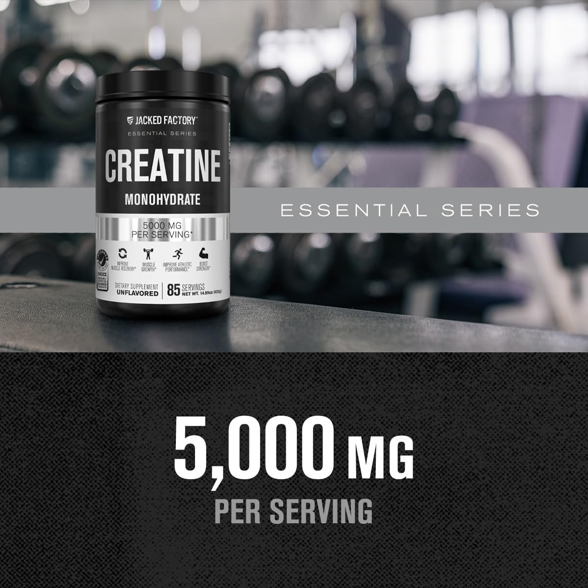 Creatine Monohydrate Powder 425G – 5G Daily Creatine Supplement for Men and W…