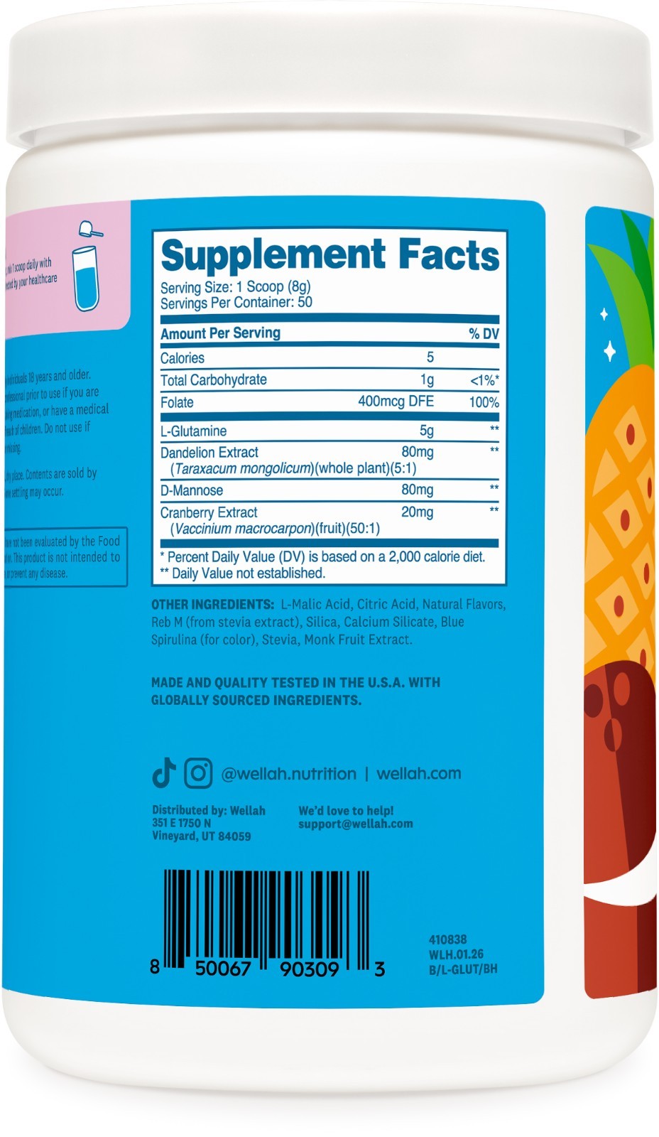 Wellah L-Glutamine Blue Hawaii Powder (50 Servings) – 5g L-Glutamine Per Serving