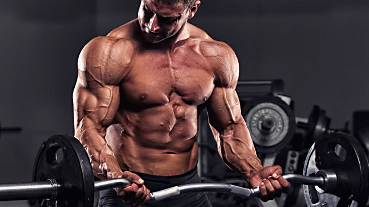 natural testosterone booster – Unleash Your Wolf 2170mg (2) – sexual vitality