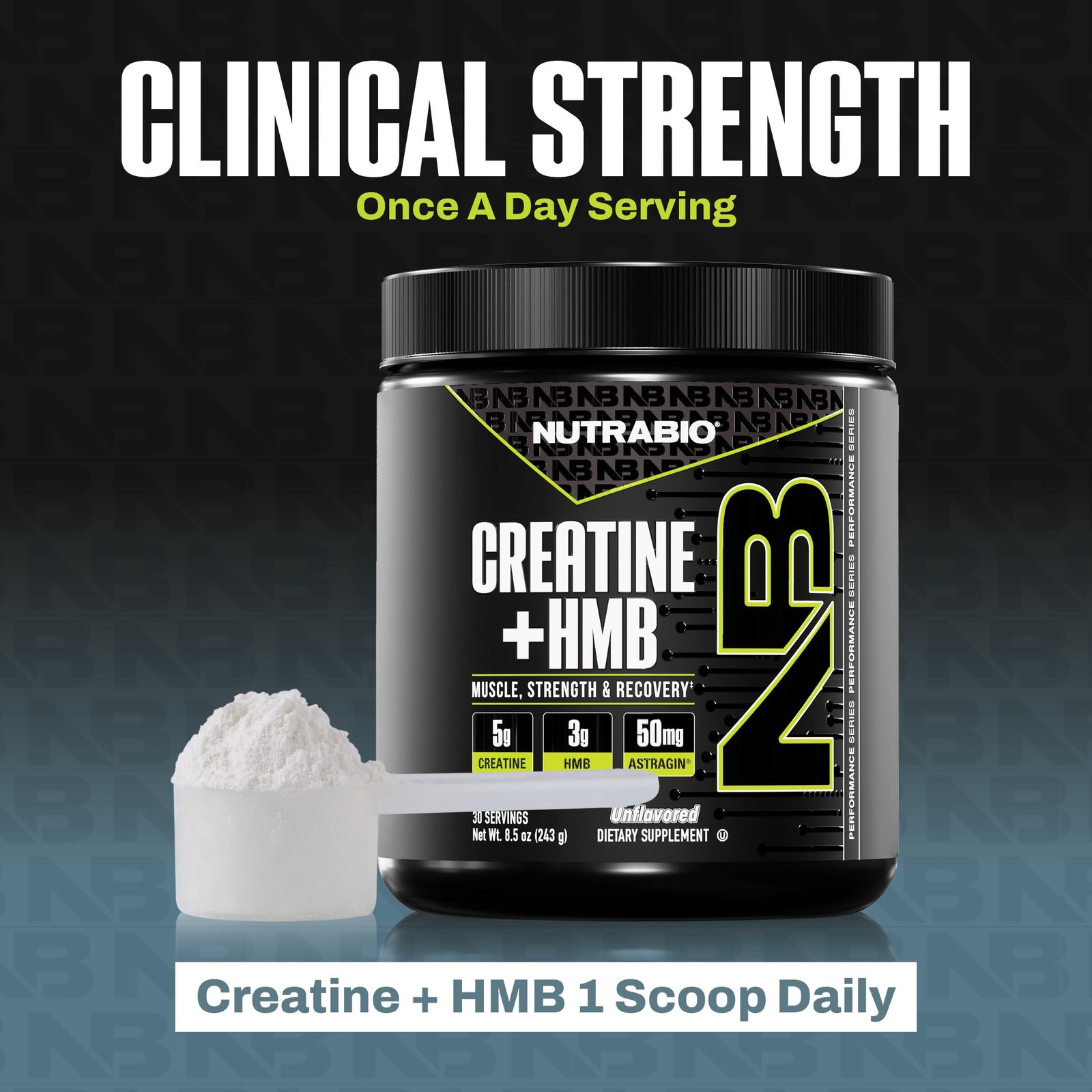 NutraBio Creatine + HMB- Monohydrate 8.5 Ounce (Pack of 1), No Color