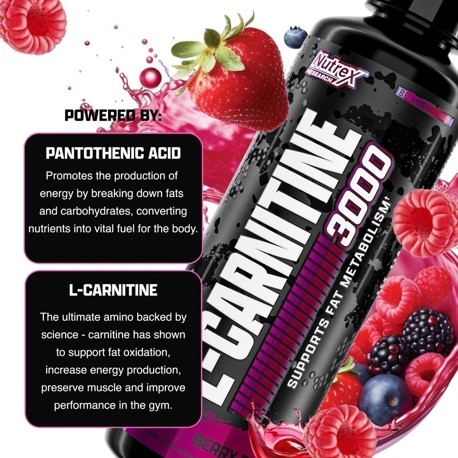Nutrex Research Liquid Carnitine 3000 | Premium Liquid Carnitine, Stimulant…
