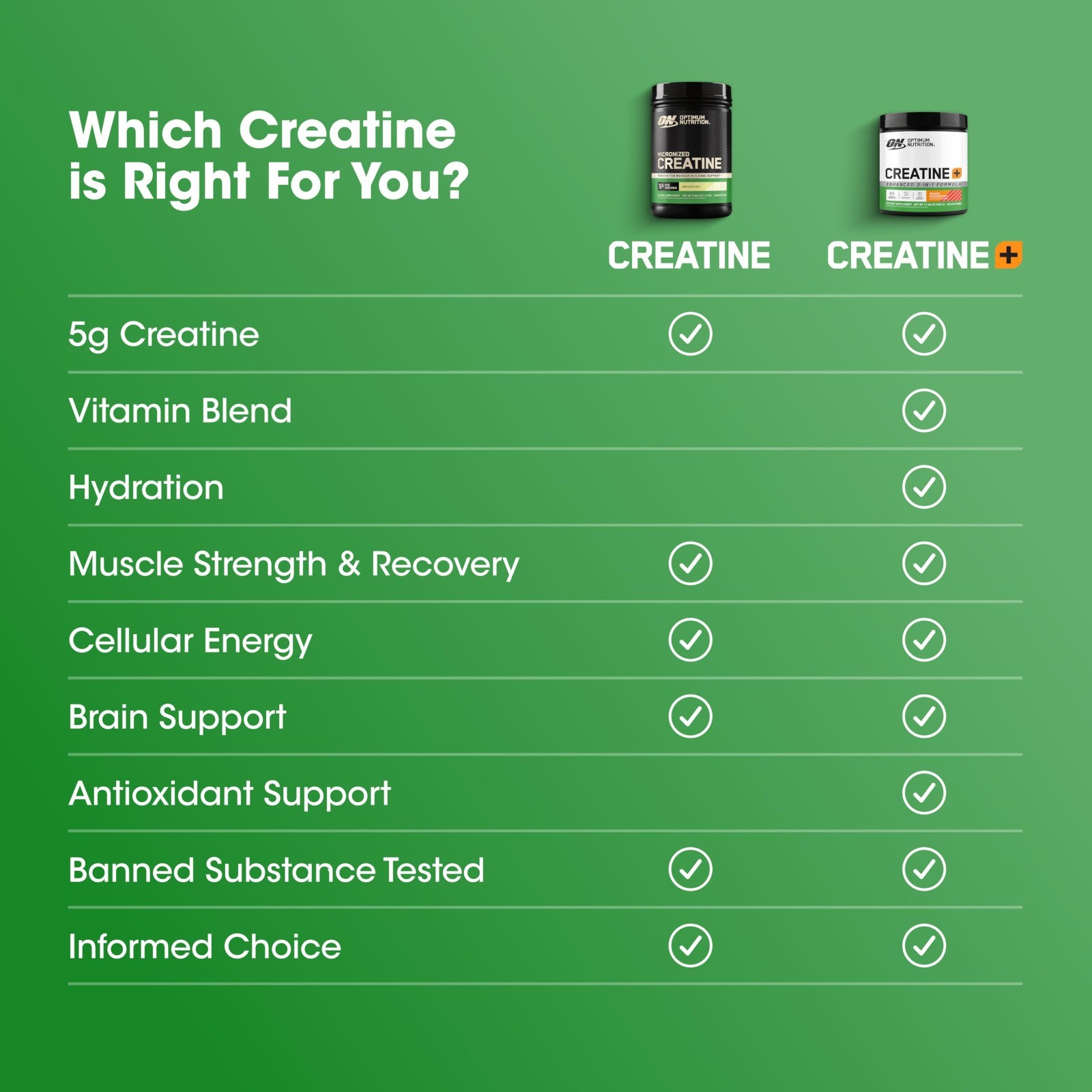 Micronized Creatine Monohydrate Powder – 5g Per Serving, Supports Strength & Rec