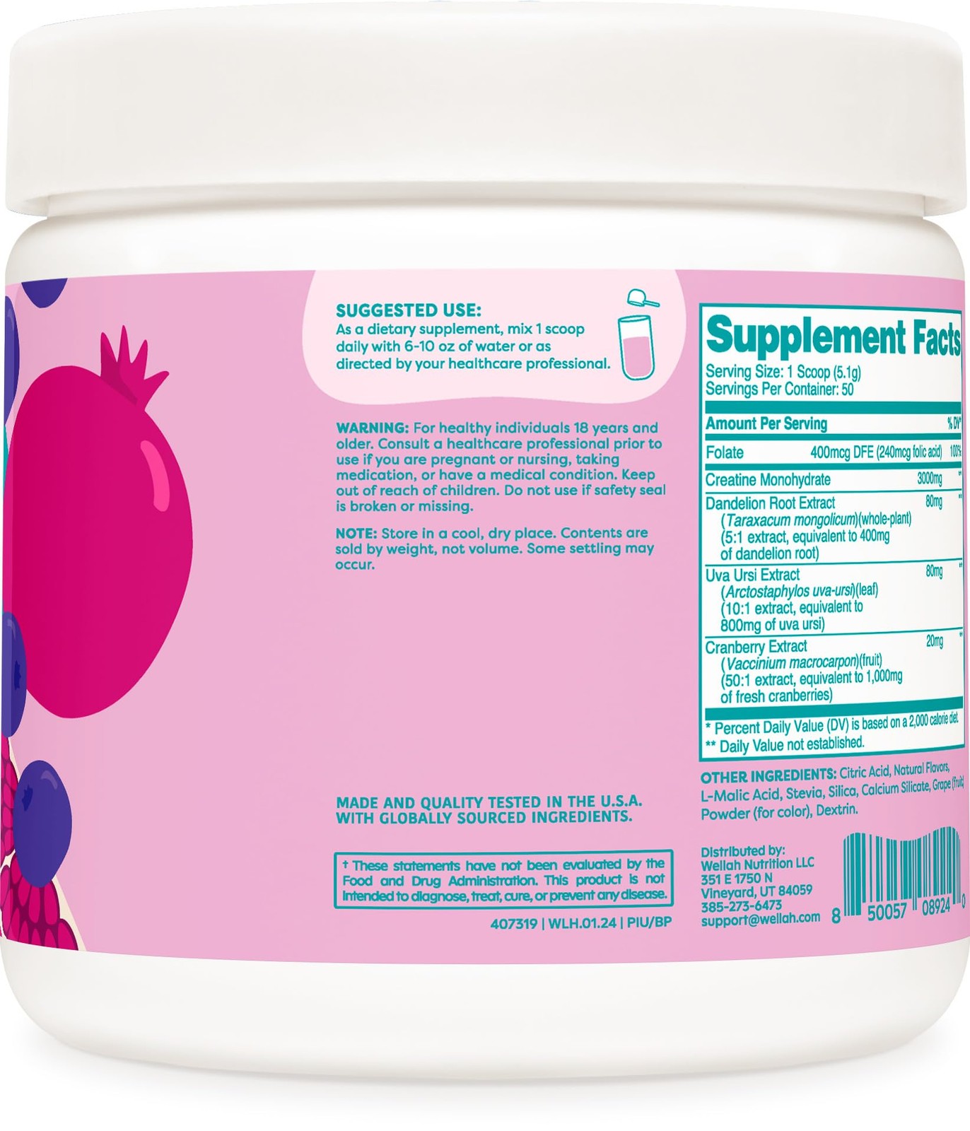 Wellah Pump-It-Up Creatine 50 Servings Blueberry Pomegranate – Creatine Monoh…