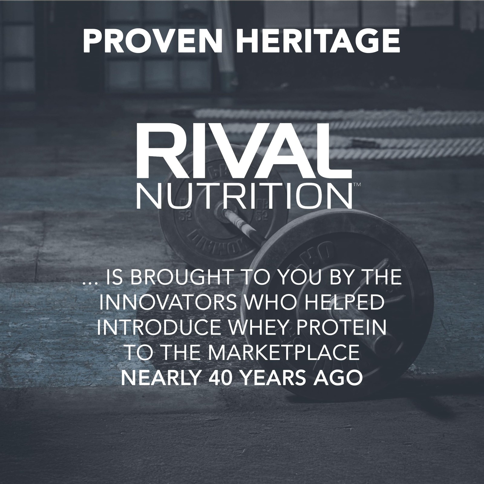 Rivalus Clean Gainer – Chocolate Fudge, 5lbs