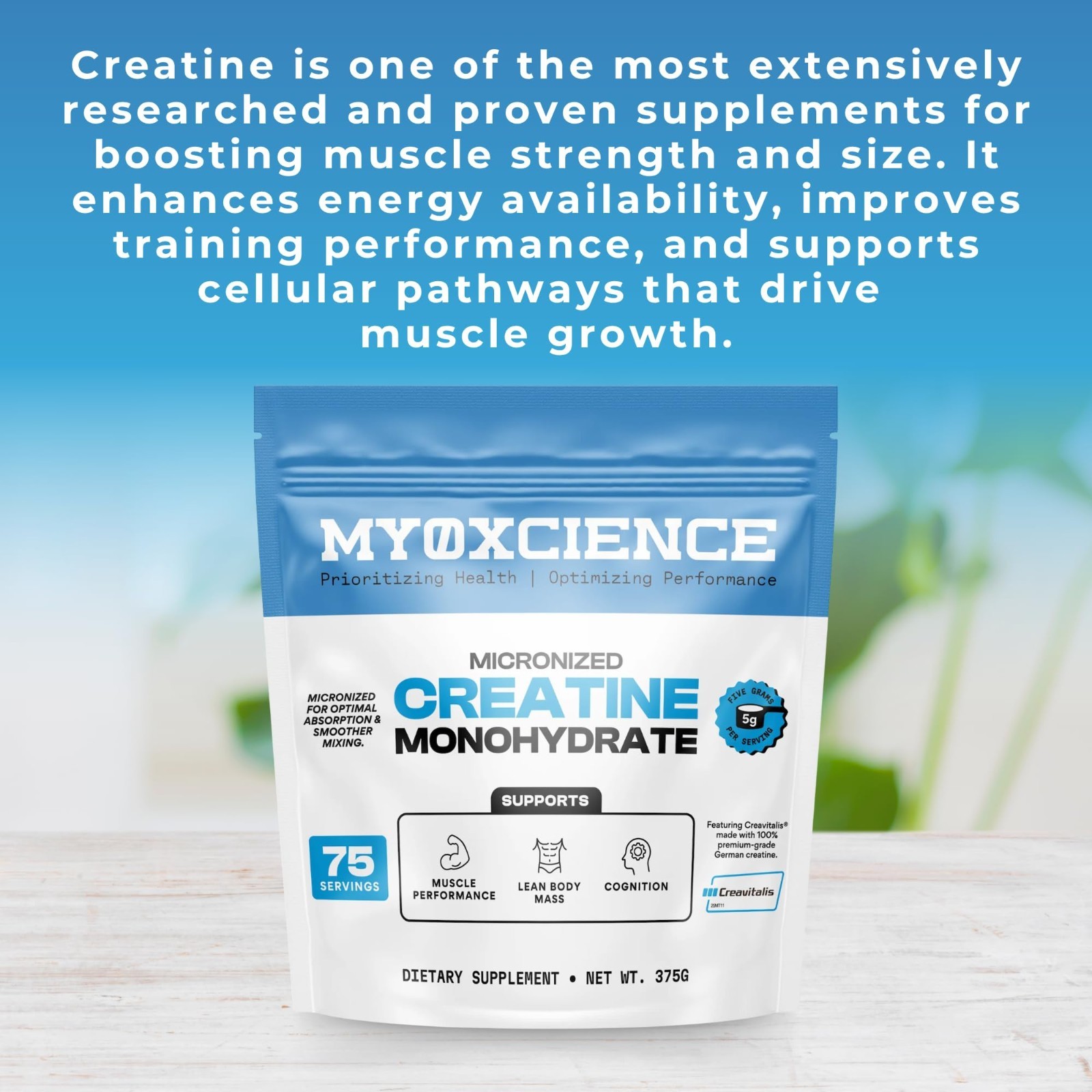 Micronized Creatine Monohydrate Powder | Pure Creatine for Muscle & Cognition |